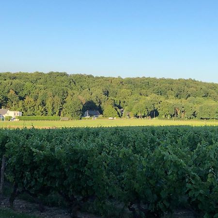 Gite De La Fontaine Bondree Vernou-sur-Brenne Zewnętrze zdjęcie