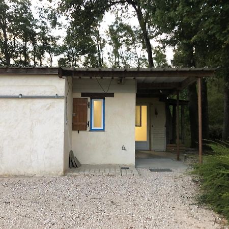 Gite De La Fontaine Bondree Vernou-sur-Brenne Zewnętrze zdjęcie
